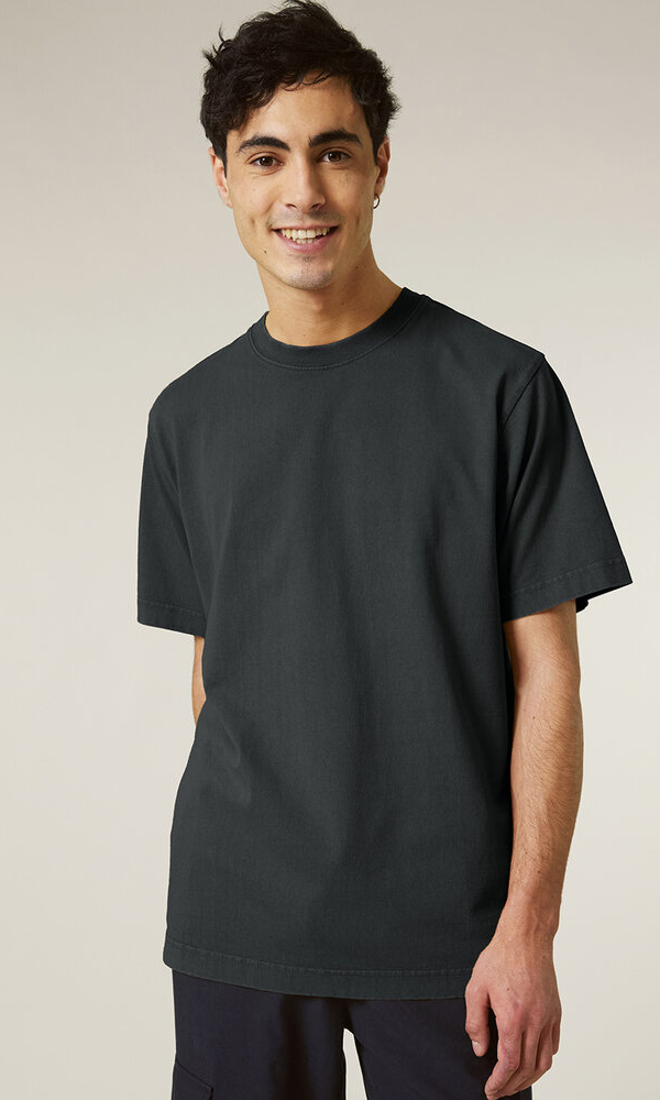 Stanley/Stella Freestyler Vintage - Unisex garment dyed heavy weight T-shirt STTU073 Freestyler Vintage - Unisex garment dyed heavy weight T-shirt Thumbnail